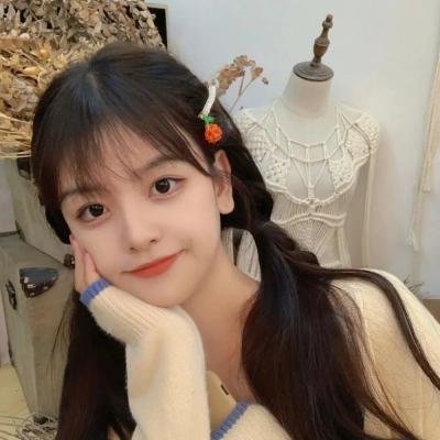 好警察，坏警察